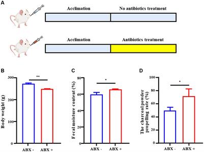 Tongbian decoction restores intestinal microbiota and activates 5-hydroxytryptamine signaling: implication in slow transit constipation